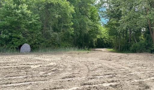 Photo #21 of SOLD property in Off Bobcat Ln, Franklin, VA 55.0 acres