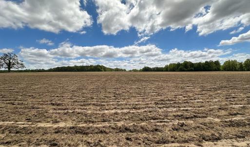 Photo #22 of SOLD property in Off Bobcat Ln, Franklin, VA 55.0 acres