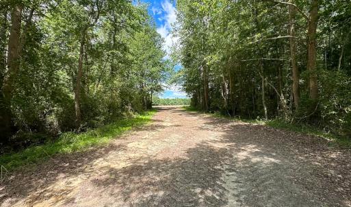 Photo #23 of SOLD property in Off Bobcat Ln, Franklin, VA 55.0 acres
