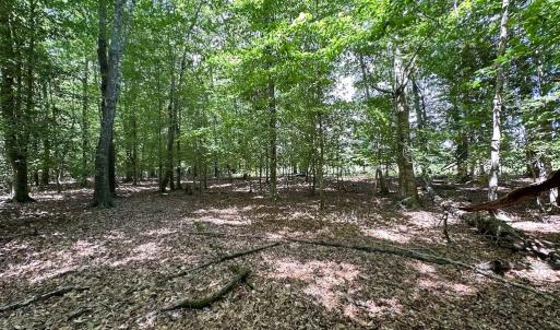 Photo #25 of SOLD property in Off Bobcat Ln, Franklin, VA 55.0 acres