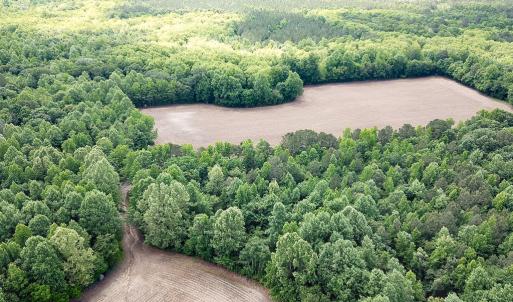Photo #26 of SOLD property in Off Bobcat Ln, Franklin, VA 55.0 acres
