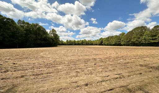Photo #27 of SOLD property in Off Bobcat Ln, Franklin, VA 55.0 acres