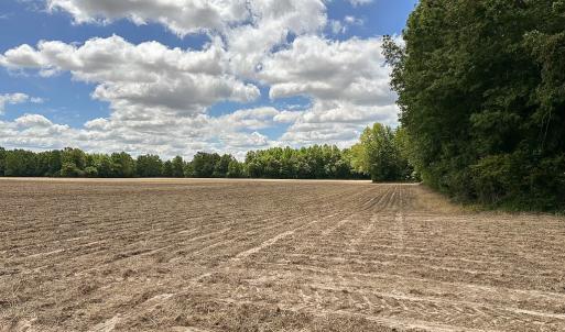 Photo #31 of SOLD property in Off Bobcat Ln, Franklin, VA 55.0 acres