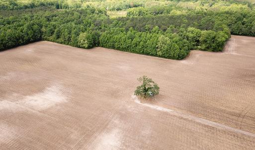 Photo #32 of SOLD property in Off Bobcat Ln, Franklin, VA 55.0 acres
