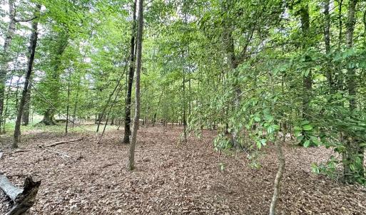 Photo #35 of SOLD property in Off Bobcat Ln, Franklin, VA 55.0 acres