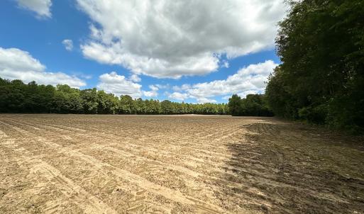 Photo #36 of SOLD property in Off Bobcat Ln, Franklin, VA 55.0 acres