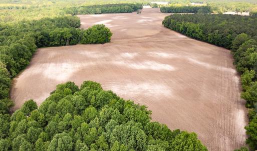 Photo #2 of SOLD property in Off Bobcat Ln, Franklin, VA 71.0 acres