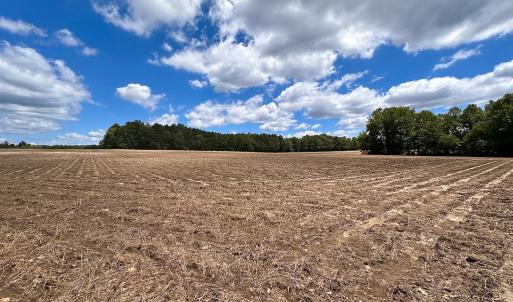 Photo #3 of SOLD property in Off Bobcat Ln, Franklin, VA 71.0 acres