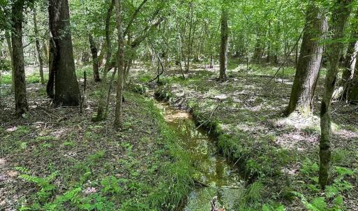 Photo #5 of SOLD property in Off Bobcat Ln, Franklin, VA 71.0 acres
