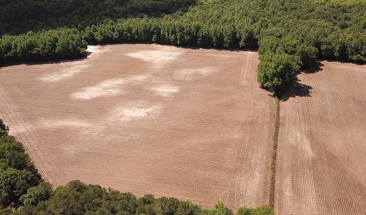Photo #6 of SOLD property in Off Bobcat Ln, Franklin, VA 71.0 acres