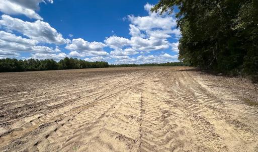 Photo #10 of SOLD property in Off Bobcat Ln, Franklin, VA 71.0 acres