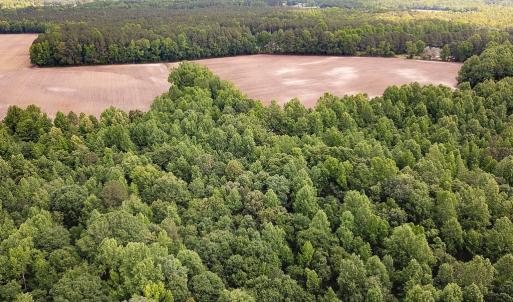 Photo #14 of SOLD property in Off Bobcat Ln, Franklin, VA 71.0 acres
