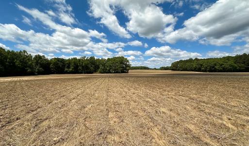 Photo #16 of SOLD property in Off Bobcat Ln, Franklin, VA 71.0 acres