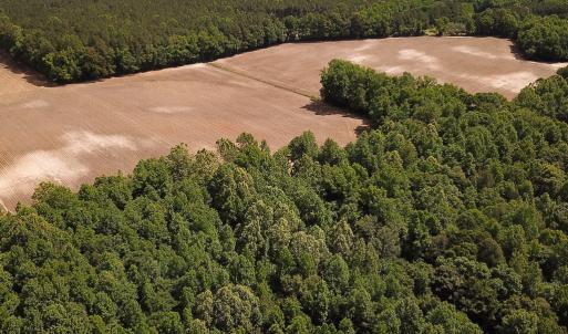 Photo #20 of SOLD property in Off Bobcat Ln, Franklin, VA 71.0 acres