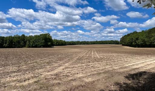 Photo #22 of SOLD property in Off Bobcat Ln, Franklin, VA 71.0 acres
