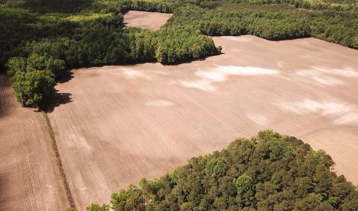 Photo #32 of SOLD property in Off Bobcat Ln, Franklin, VA 71.0 acres