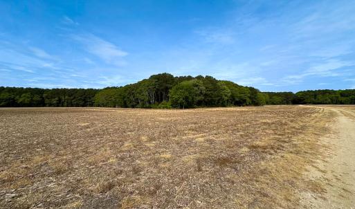 Photo #3 of SOLD property in Off Kegotank Rd, Nelsonia, VA 93.0 acres