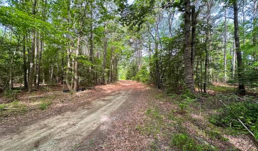Photo #4 of SOLD property in Off Kegotank Rd, Nelsonia, VA 93.0 acres