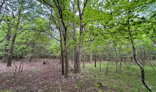 Photo #6 of SOLD property in Off Kegotank Rd, Nelsonia, VA 93.0 acres