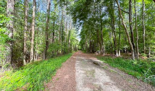Photo #7 of SOLD property in Off Kegotank Rd, Nelsonia, VA 93.0 acres