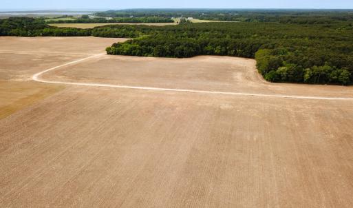 Photo #8 of SOLD property in Off Kegotank Rd, Nelsonia, VA 93.0 acres