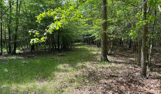 Photo #10 of SOLD property in Off Kegotank Rd, Nelsonia, VA 93.0 acres