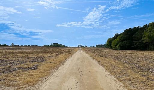 Photo #11 of SOLD property in Off Kegotank Rd, Nelsonia, VA 93.0 acres