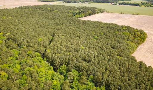 Photo #12 of SOLD property in Off Kegotank Rd, Nelsonia, VA 93.0 acres