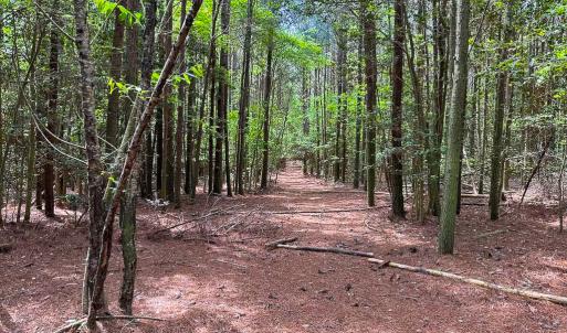Photo #14 of SOLD property in Off Kegotank Rd, Nelsonia, VA 93.0 acres