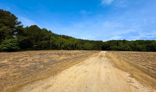 Photo #15 of SOLD property in Off Kegotank Rd, Nelsonia, VA 93.0 acres