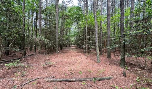 Photo #16 of SOLD property in Off Kegotank Rd, Nelsonia, VA 93.0 acres