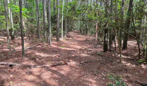 Photo #18 of SOLD property in Off Kegotank Rd, Nelsonia, VA 93.0 acres