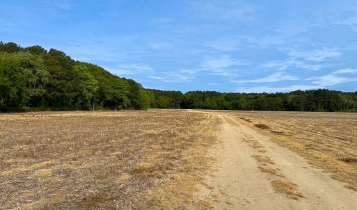 Photo #19 of SOLD property in Off Kegotank Rd, Nelsonia, VA 93.0 acres