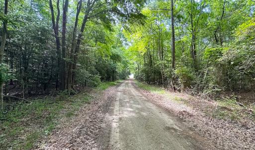 Photo #20 of SOLD property in Off Kegotank Rd, Nelsonia, VA 93.0 acres