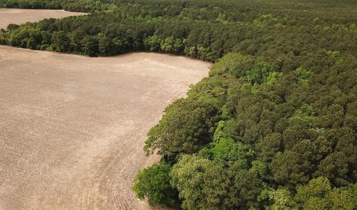 Photo #21 of SOLD property in Off Kegotank Rd, Nelsonia, VA 93.0 acres