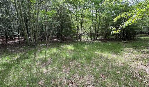 Photo #22 of SOLD property in Off Kegotank Rd, Nelsonia, VA 93.0 acres