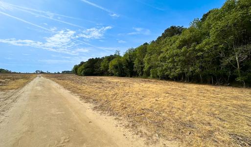 Photo #23 of SOLD property in Off Kegotank Rd, Nelsonia, VA 93.0 acres