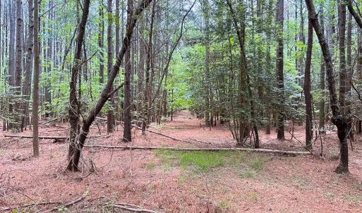 Photo #24 of SOLD property in Off Kegotank Rd, Nelsonia, VA 93.0 acres