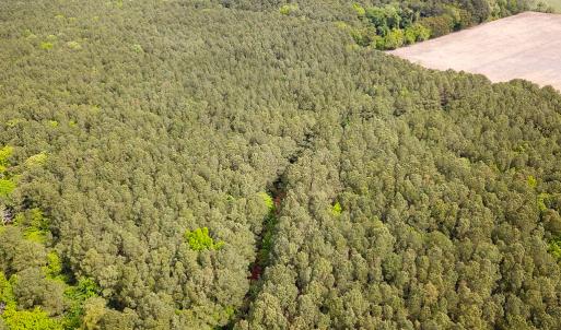 Photo #25 of SOLD property in Off Kegotank Rd, Nelsonia, VA 93.0 acres
