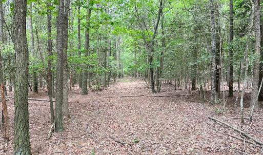 Photo #26 of SOLD property in Off Kegotank Rd, Nelsonia, VA 93.0 acres