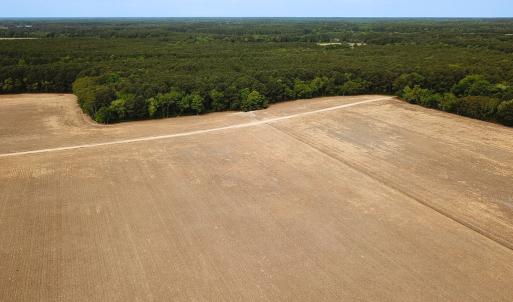 Photo #29 of SOLD property in Off Kegotank Rd, Nelsonia, VA 93.0 acres