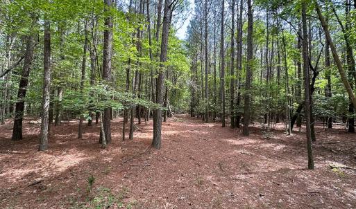 Photo #30 of SOLD property in Off Kegotank Rd, Nelsonia, VA 93.0 acres