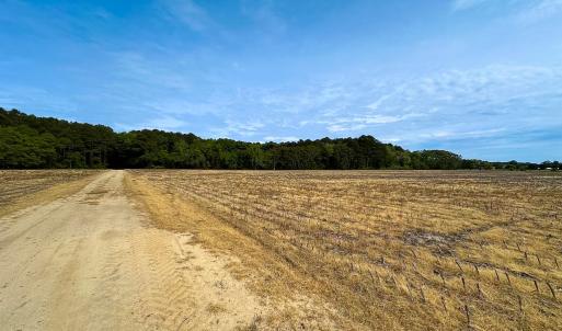 Photo #31 of SOLD property in Off Kegotank Rd, Nelsonia, VA 93.0 acres