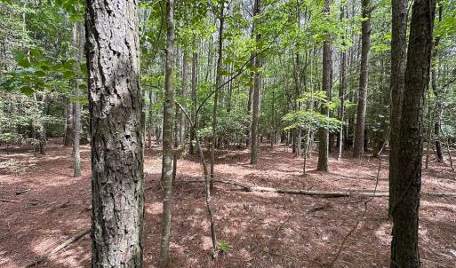 Photo #32 of SOLD property in Off Kegotank Rd, Nelsonia, VA 93.0 acres