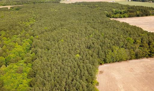 Photo #33 of SOLD property in Off Kegotank Rd, Nelsonia, VA 93.0 acres