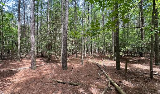 Photo #34 of SOLD property in Off Kegotank Rd, Nelsonia, VA 93.0 acres