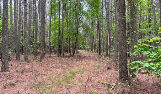 Photo #35 of SOLD property in Off Kegotank Rd, Nelsonia, VA 93.0 acres