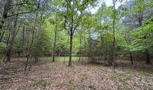 Photo #36 of SOLD property in Off Kegotank Rd, Nelsonia, VA 93.0 acres