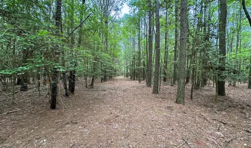 Photo #37 of SOLD property in Off Kegotank Rd, Nelsonia, VA 93.0 acres