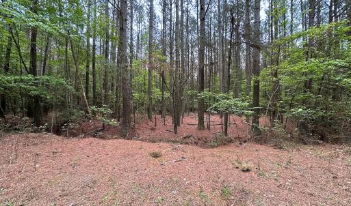 Photo #38 of SOLD property in Off Kegotank Rd, Nelsonia, VA 93.0 acres
